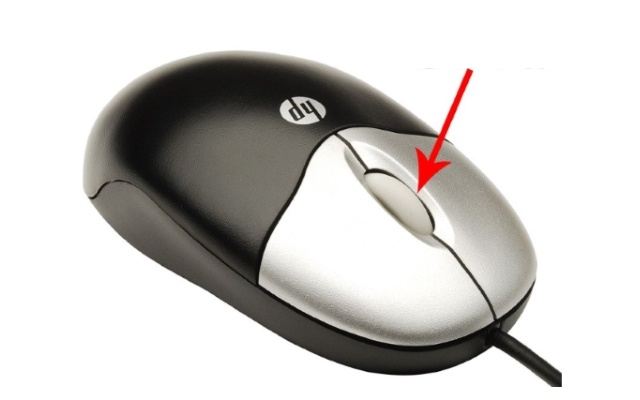 souris